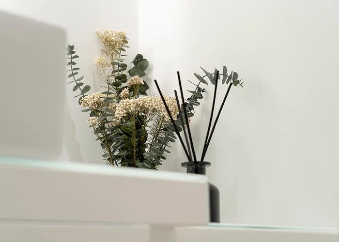 Çiftlik konaklama Quinta Do Passal *